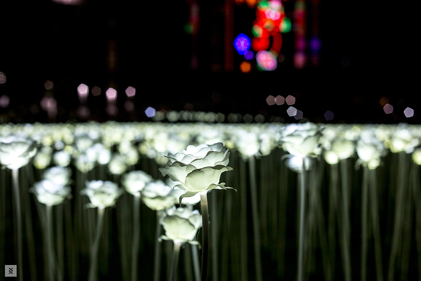 Urban & street photography 2